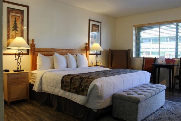 Big Pines Mountain House image 38